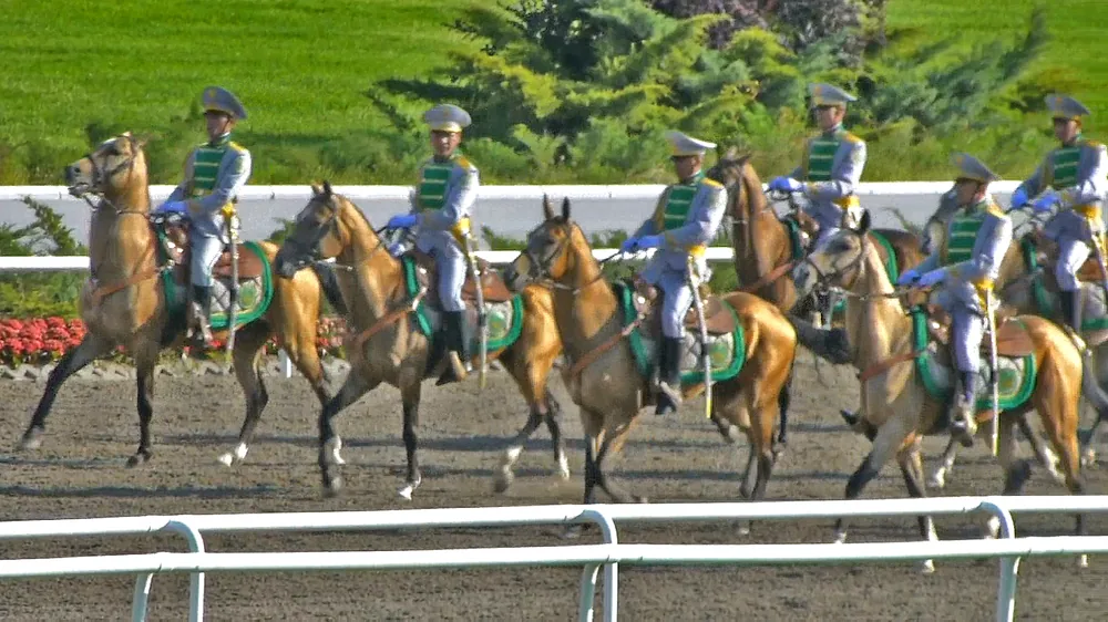 Akhal-Tekes engalanados en un desfile ecuestre sobre un hipódromo
