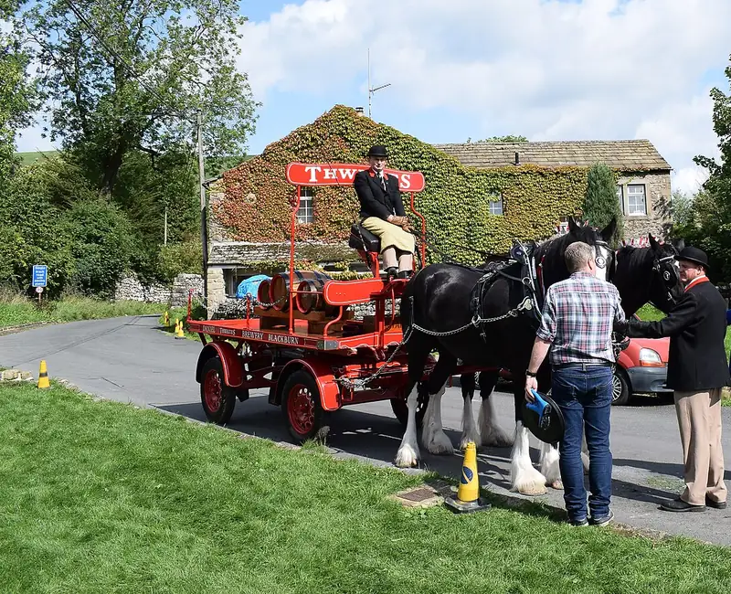 Dos caballos Shire tirando de un carro tradicional de reparto de la cervecería Thwaites
