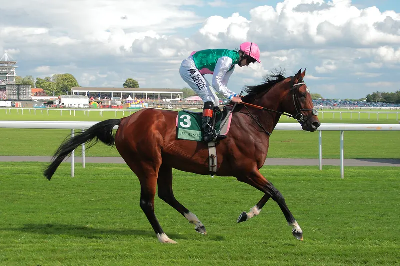 Frankel galopando en el hipódromo de York: invicto en 14 carreras y valorado en unos 100 millones de libras