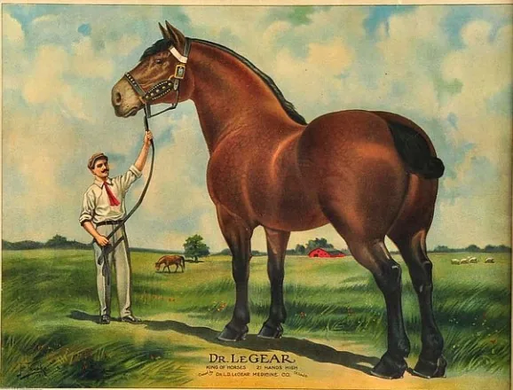 Cartel publicitario de principios del siglo XX con el percherón Dr. Le Gear