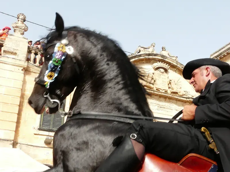 Caballo menorquín, raza negra de Menorca en peligro
